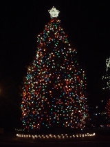 Walnut Creek Annual Christmas Tree Lighting - November 7, 2025