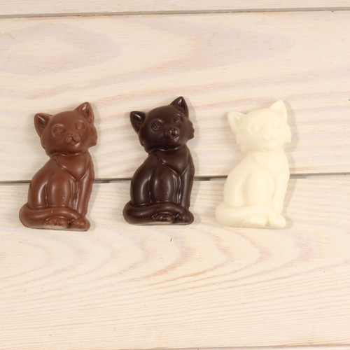 Chocolate Cat
