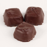 Sugar Free | Dark Vanilla Caramel